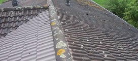 Nettoyage de toiture à Ballaison par Couvreur Brunet 74